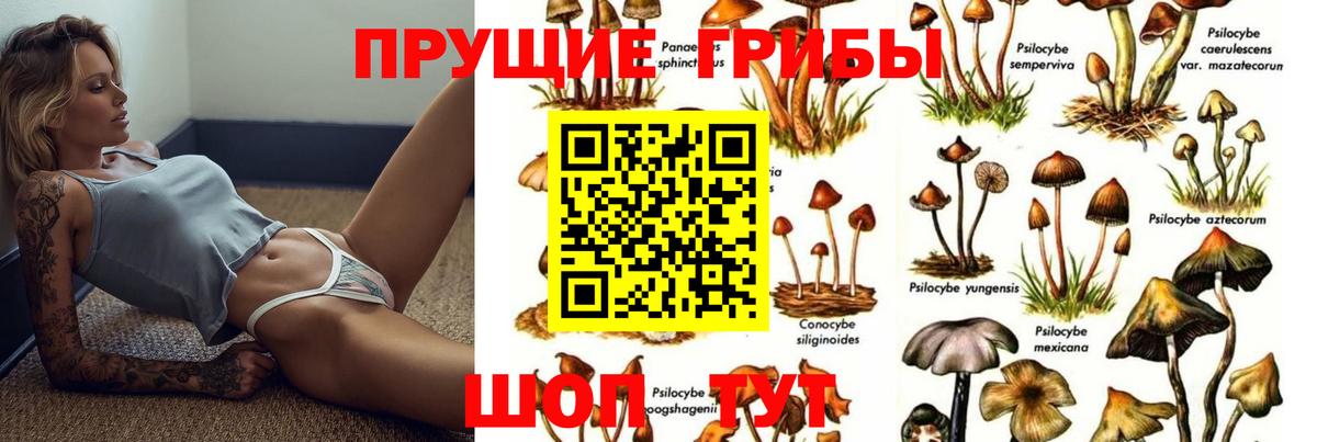 Дзержинск  Галлюциногенные грибы GOLDEN TEACHER  Псилоцибиновые грибы Magic Shrooms  Вход с VPN 